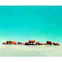 Noch N Pigs 15 Animals N36712