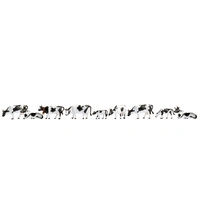 Noch N Cows, black-white (9 figures) N36721