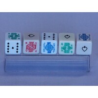 Poker Dice Plastic Case