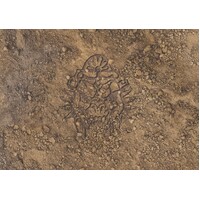 W’adrh?n: Exclusive Table Mat 44"x60" (Wadrhun)