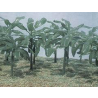 Pegasus 1/72 Banana Trees (1-1/2 to 2-1/2 inch tall x 15 pcs) 6509