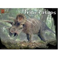 Pegasus 1/24 Triceratops 3 Horned Face Dinosaur