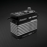 Power HD Digital Servo (25.2V 120kg)