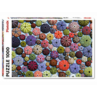Piatnik 1000pc Sea-Urchin Shells Jigsaw Puzzle
