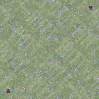 PMTT Fields of Eden 60"x44" Tabletop Battle Mat
