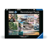 Ravensburger West Coast Tranquility 1000pc Jigsaw Puzzle