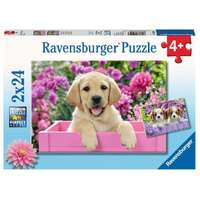 Ravensburger - 2x24pc Me and My Pal Jigsaw Puzzle 05029-1