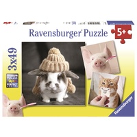 Ravensburger - 3x49pc Funny Animal Portraits Jigsaw Puzzle 08028-1