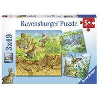Ravensburger - 3x49pc Animals in their Habitats Jigsaw Puzzle 08050-2