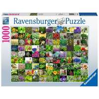 Ravensburger 1000pc 99 Herbs and Spices Jigsaw Puzzle