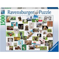 Ravensburger - 1500pc Funny Animals Jigsaw Puzzle 16711-1