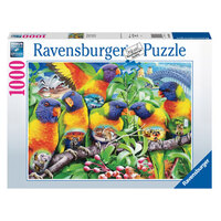 Ravensburger - 1000pc Land of the Lorikeet Jigsaw Puzzle 16815-6