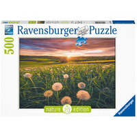 Ravensburger Dandelions at Sunset Puzzle 500pc Jigsaw Puzzle