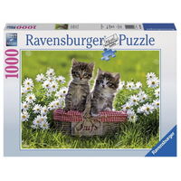 Ravensburger Picnic in the Meadow 1000pc Jigsaw Puzzle