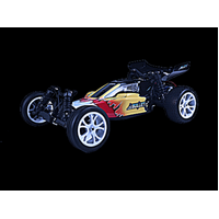 River Hobby 1/10 RTR EBD Buggy Brushed RH-2011