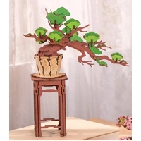 Rolife DIY Evergreen Pine Bonsai Wooden 3D Kit