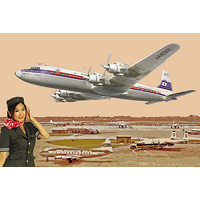 Roden 1/144 DC-7C Japan Air lines Plastic Model Kit