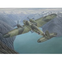 Roden 1/144 Heinkel He111 H-6 Plastic Model Kit 341