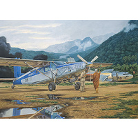 Roden 1/48 PILATUS TURBO-PORTER PC-6/B1-H2 Plastic Model Kit