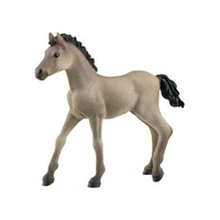 Schleich - Criollo Definitivo Foal