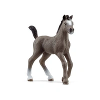 Schleich - Selle Francais Foal