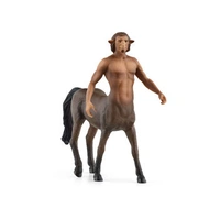 Schleich - Wizarding World Firenze