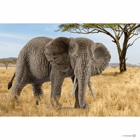 Schleich - African elephant, female
