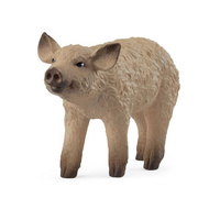 Schleich - Mangalica Piglet
