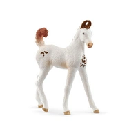 Schleich - Marwari Foal