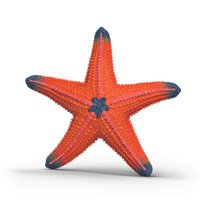 Schleich Starfish Color Change