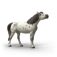 Schleich - Knabstrupper Gelding