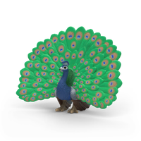 Schleich Farm World Peacock Animal Figure 14926