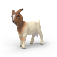 Schleich Boer Goat