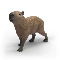 Schleich - Capybara