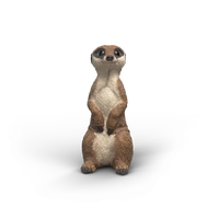 Schleich - Meerkat