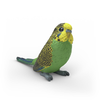 Schleich Farm World Budgie Animal Figure 14939