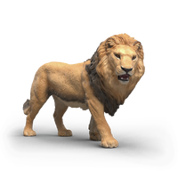 Schleich Lion