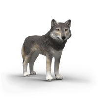 Schleich Wolf