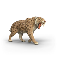 Schleich - Smilodon