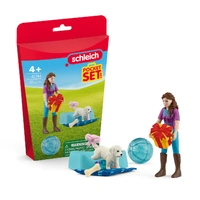 Schleich - Birthday party with Lisa
