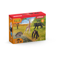 Schleich - Wild Life Safari Starter Set