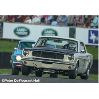 Scalextric Ford Mustang - Bill and Fred Shepherd - Goodwood Revival