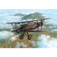 Special Hobby 1/48 IMAM (Romeo) Ro.37 “A30 engine" Plastic Model Kit