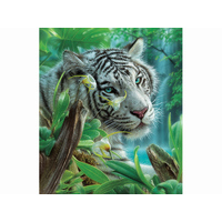 Suns Out 1000pc White Tiger Of Eden Jigsaw Puzzle