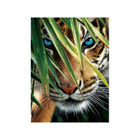 Suns Out 1000pc Blue Eyes Jigsaw Puzzle