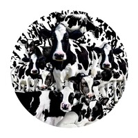 Suns Out 1000pc Herd Of Cows Jigsaw Puzzle