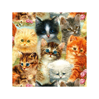 Suns Out 1000pc A Pile of Kittens Jigsaw Puzzle