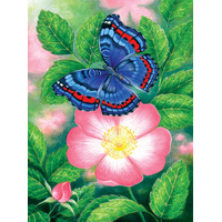 Suns Out 1000pc Blue Butterfly Jigsaw Puzzle 48218