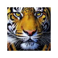 Suns Out 1000pc Golden Tiger Face Jigsaw Puzzle