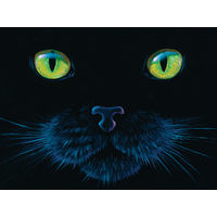 Suns Out 1000pc Black Cat Jigsaw Puzzle